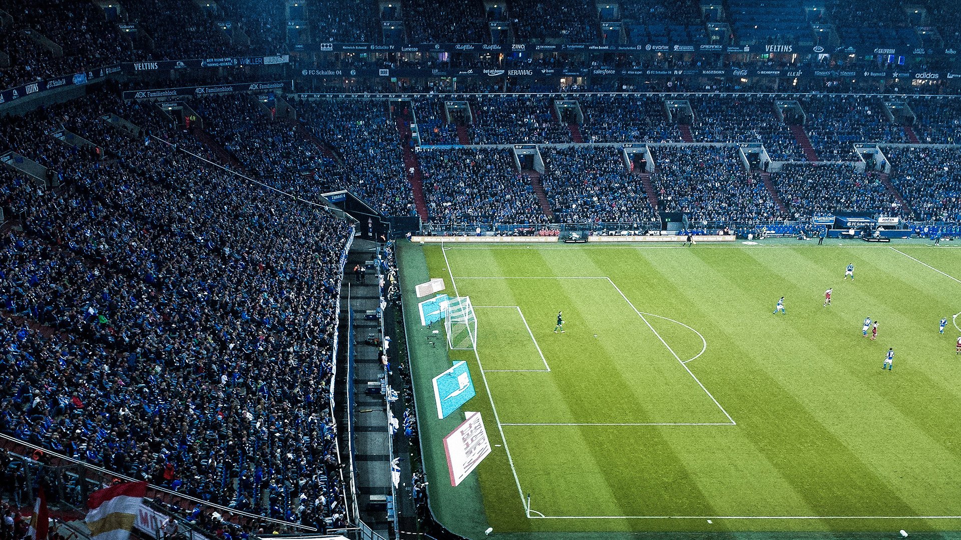 “运动交友”夜跑专场 活动结束后现场交换联系方式